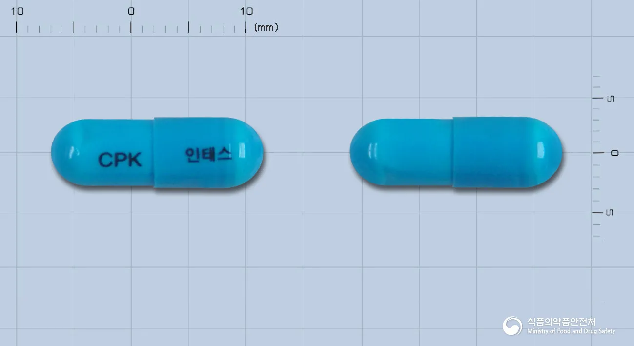 상품 정보