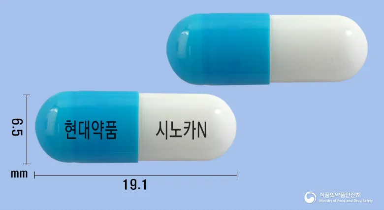 상품 정보