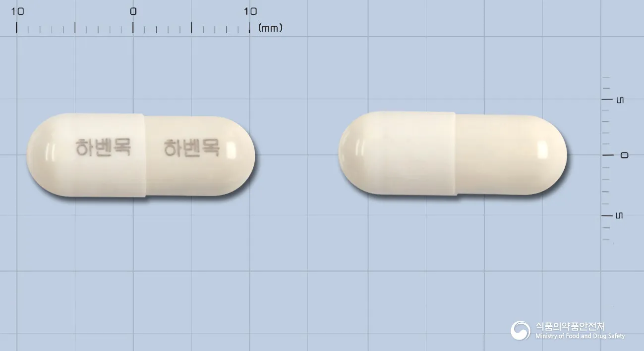 상품 정보