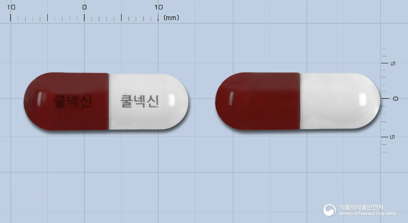 상품 정보