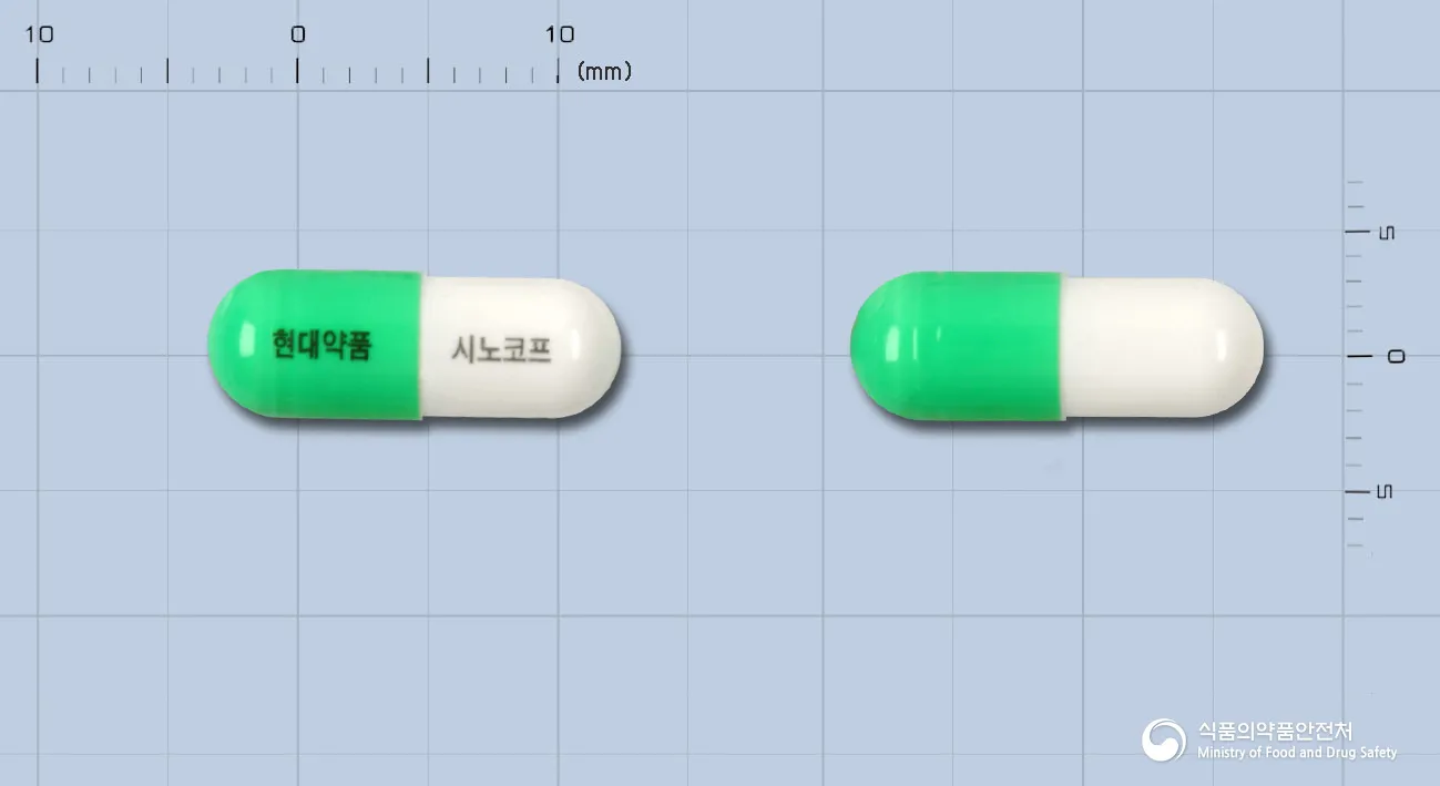 상품 정보