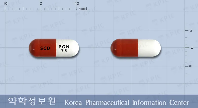 상품 정보