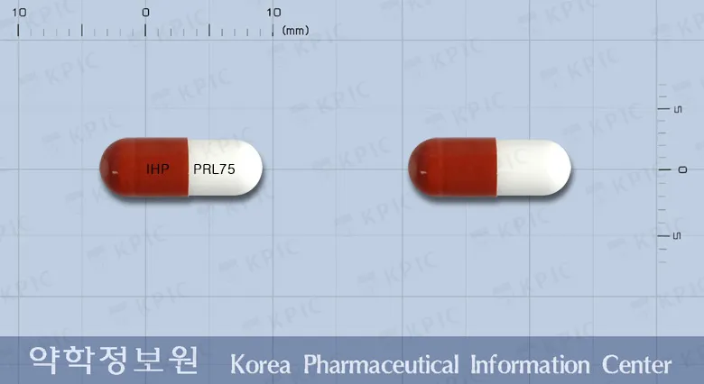 상품 정보