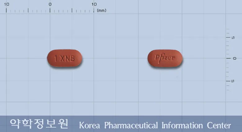 상품 정보