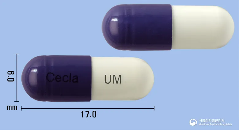 상품 정보