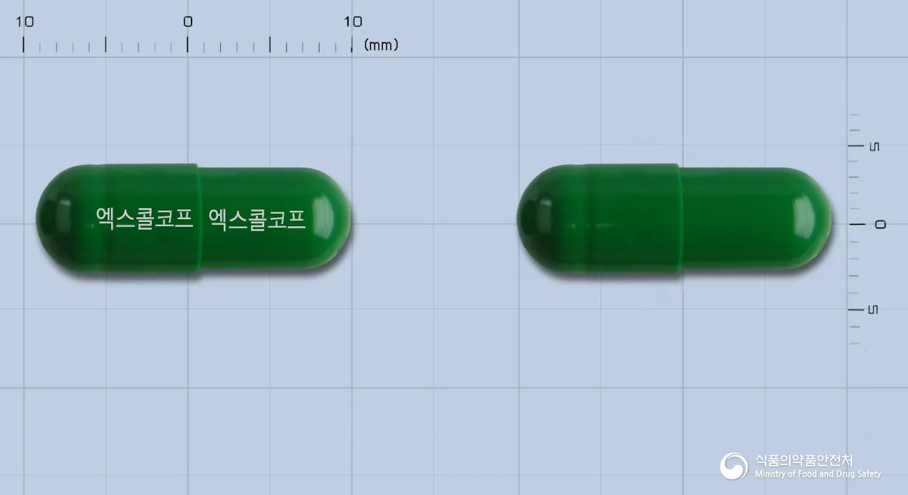상품 정보