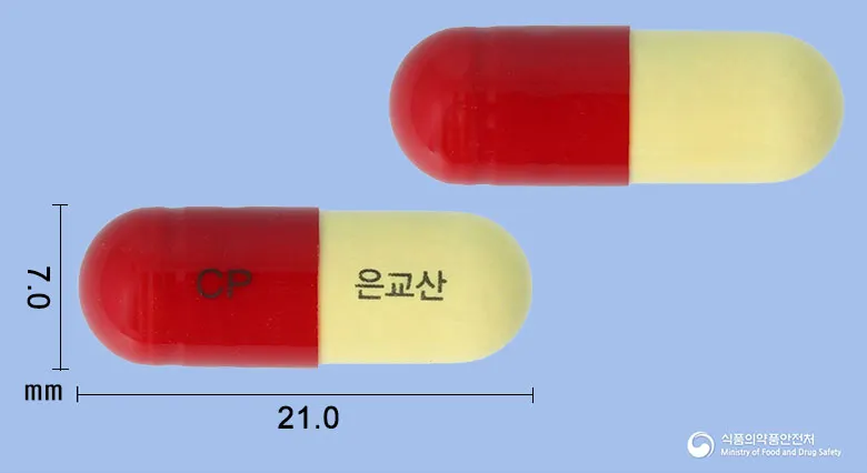 상품 정보