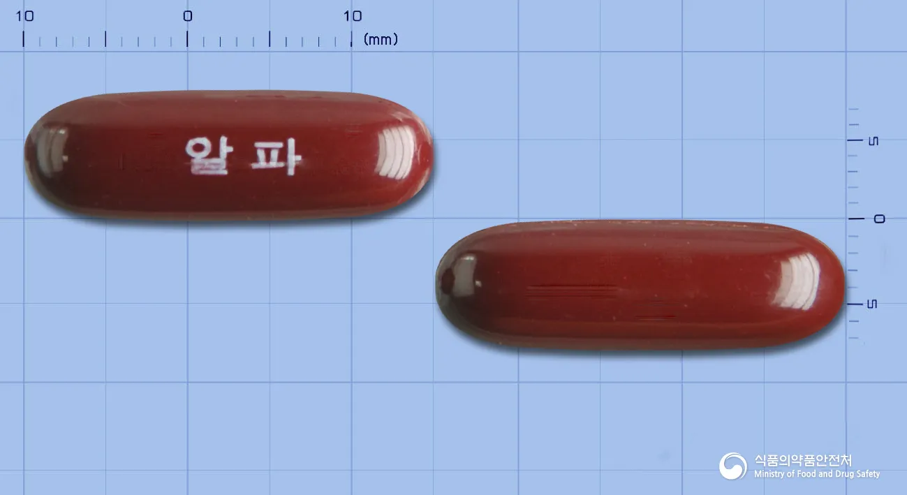 상품 정보
