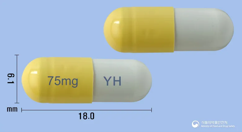 상품 정보
