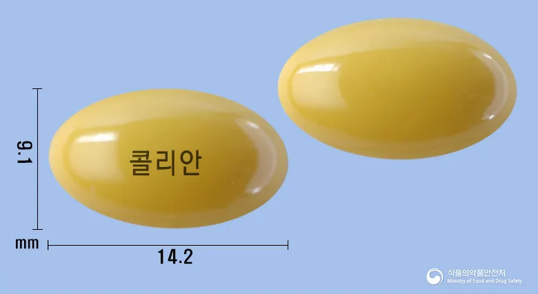 상품 정보