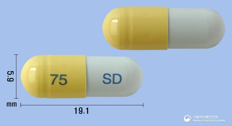 상품 정보
