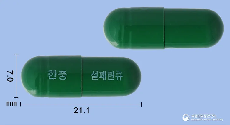 상품 정보