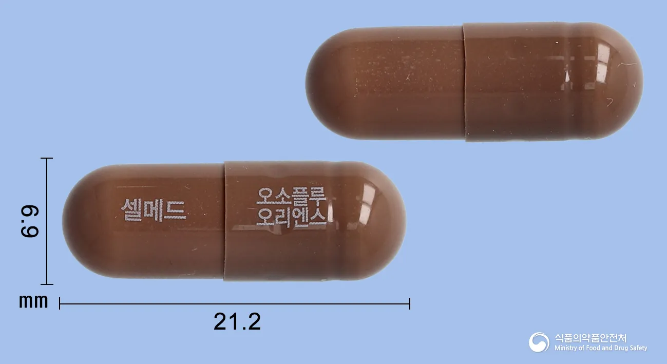 상품 정보
